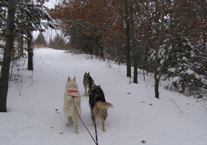 at willow river