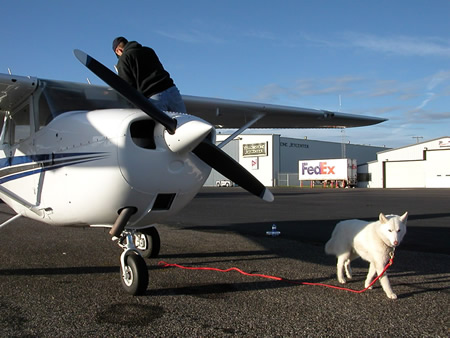 Nook by a Cessna 172 at Bozemann, MT airport
