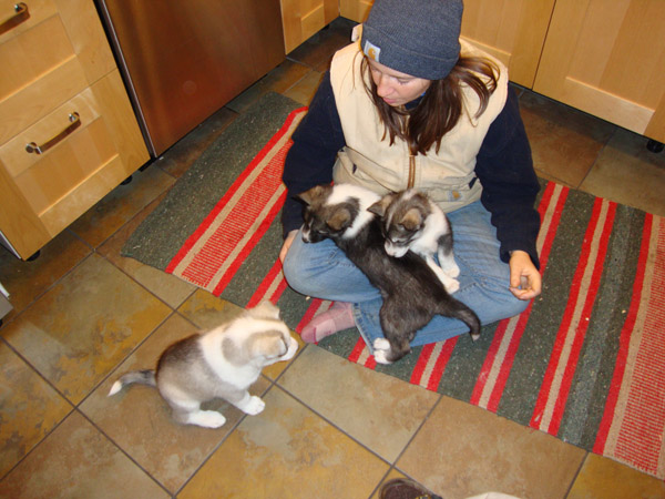 puppies