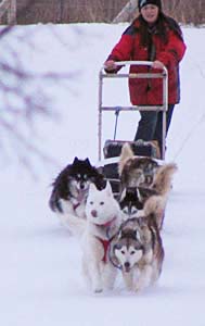 team coming in
